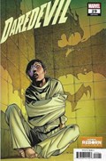 DAREDEVIL #29B 