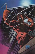 DAREDEVIL #1-RI-E 