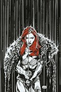 RED SONJA #17-RI-D 