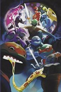 MIGHTY MORPHIN POWER RANGERS/TEENAGE MUTANT NINJA TURTLES #5-RI-B 