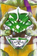 MIGHTY MORPHIN POWER RANGERS/TEENAGE MUTANT NINJA TURTLES #5-RI 