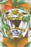 MIGHTY MORPHIN POWER RANGERS/TEENAGE MUTANT NINJA TURTLES #2D 