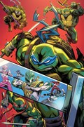 MIGHTY MORPHIN POWER RANGERS/TEENAGE MUTANT NINJA TURTLES #4-RA-B 