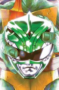 MIGHTY MORPHIN POWER RANGERS/TEENAGE MUTANT NINJA TURTLES #4-RI 