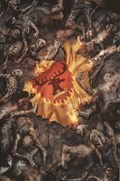 GEORGE R.R. MARTIN'S A CLASH OF KINGS #13-RI 