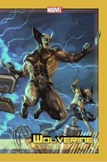 WOLVERINE #13-RI 