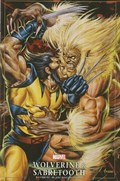 WOLVERINE #17B 