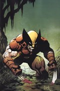 WOLVERINE #41-RI-D 