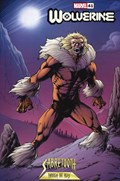 WOLVERINE #41C 