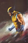 WOLVERINE #38-RI-B 