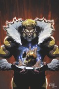 WOLVERINE #42-RI-B 