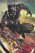 BLACK PANTHER AND THE AGENTS OF WAKANDA #1-RI 
