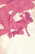 VAMPIRELLA / RED SONJA #11-RI-G 