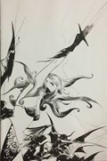 VAMPIRELLA / RED SONJA #8-RI-I 