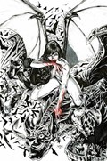 VENGEANCE OF VAMPIRELLA #17-RI-E 