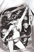 VENGEANCE OF VAMPIRELLA #19-RI-D 