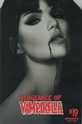 VENGEANCE OF VAMPIRELLA #19-RI-G 