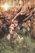 VENGEANCE OF VAMPIRELLA #13-RI-C 