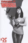 VENGEANCE OF VAMPIRELLA #25-RI-C 