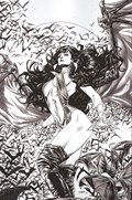VENGEANCE OF VAMPIRELLA #21-RI 
