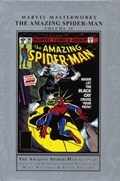 MARVEL MASTERWORKS: AMAZING SPIDER-MAN #19 Hard Cover
