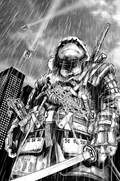 TEENAGE MUTANT NINJA TURTLES: THE LAST RONIN #2-HIVE-B 