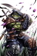 TEENAGE MUTANT NINJA TURTLES: THE LAST RONIN #3-SC1SS-B 