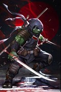 TEENAGE MUTANT NINJA TURTLES: THE LAST RONIN #2-AITCM-B 