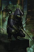 TEENAGE MUTANT NINJA TURTLES: THE LAST RONIN #5-JOLZ-E 