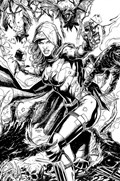 NOCTERRA #7-RI-B 
