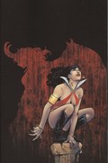 VAMPIRELLA VERSUS PURGATORI #3H 