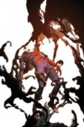 SPIDER-MAN: THE SPIDER'S SHADOW #1-BFLAG-B 
