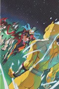 POWER RANGERS #11-RI-C 