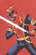 POWER RANGERS #17-RI-D 