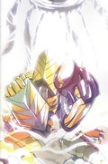 POWER RANGERS #18-RI-B 