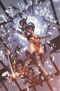 VAMPIRELLA: THE DARK POWERS #4-RI-C 