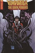 VAMPIRELLA: THE DARK POWERS #4-RI-F 