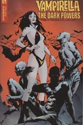 VAMPIRELLA: THE DARK POWERS #1-RI-H 