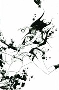 VAMPIRELLA: THE DARK POWERS #3-RI-P 
