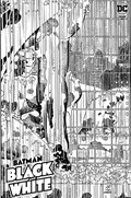 BATMAN: BLACK AND WHITE #6 