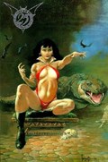 VAMPIRELLA: 25TH ANNIVERSARY SPECIAL #1C 
