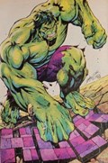 HULK #7-RI-C 