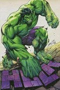 HULK #7-RI-B 