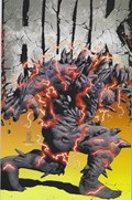 HULK #6-CXWN-B 