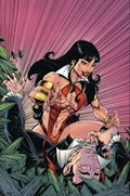 VAMPIRELLA / DRACULA: UNHOLY #1N 