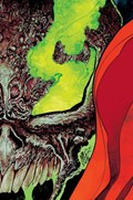 KING SPAWN #24C 