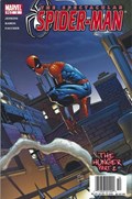 THE SPECTACULAR SPIDER-MAN #2B 