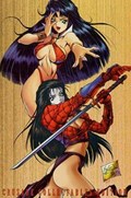 SHI & VAMPIRELLA #1B 
