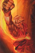 STREET FIGHTER #2D 