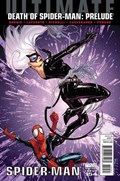 ULTIMATE SPIDER-MAN #154-RI 